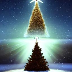 Name:  Hotpot_Christmas_Tree_03.jpg
Views: 156
Size:  10.2 KB