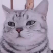 Name:  20211020_172310_es_edited [MConverter.eu].jpg
Views: 459
Size:  5.2 KB