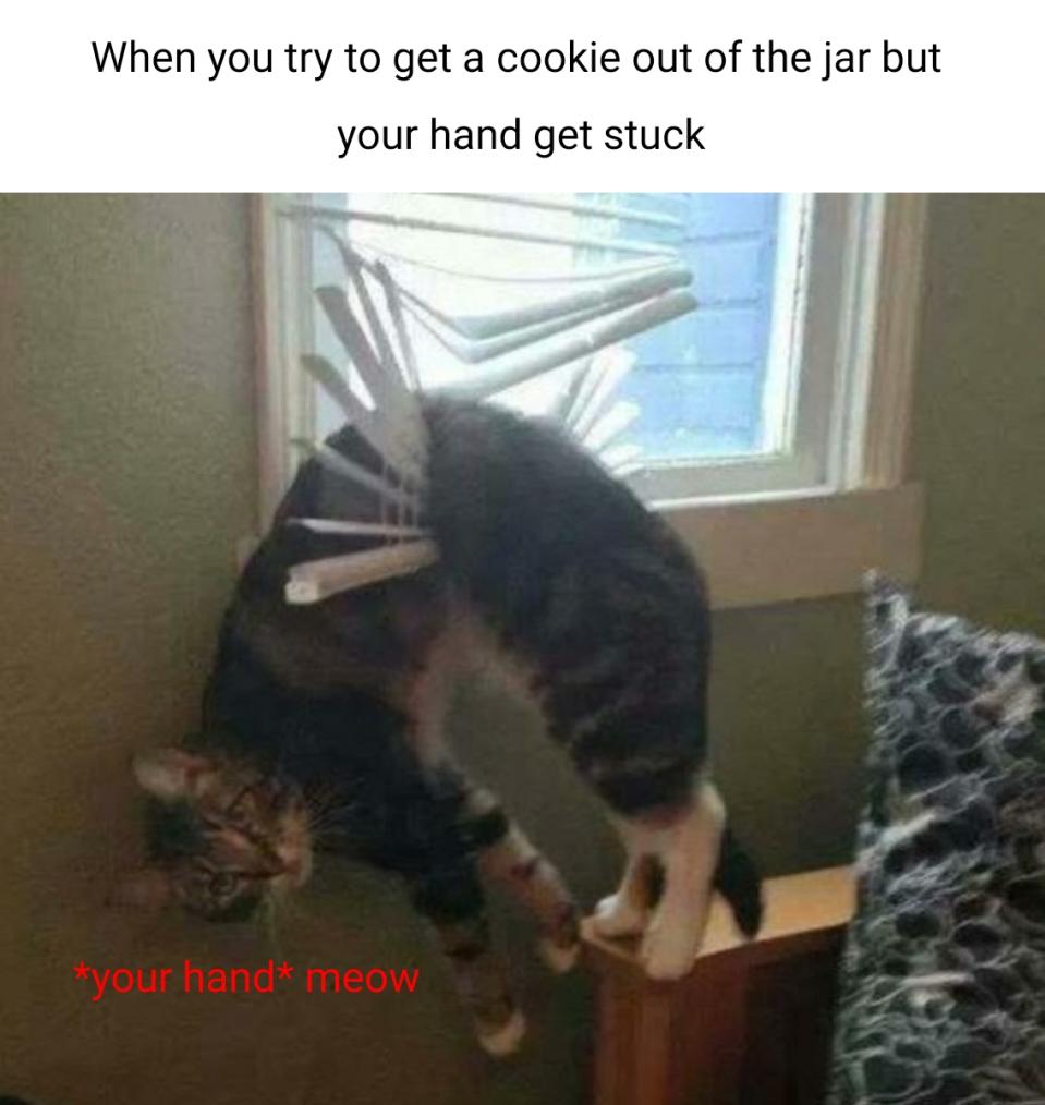 Name:  Untitled5.jpg
Views: 110
Size:  74.5 KB