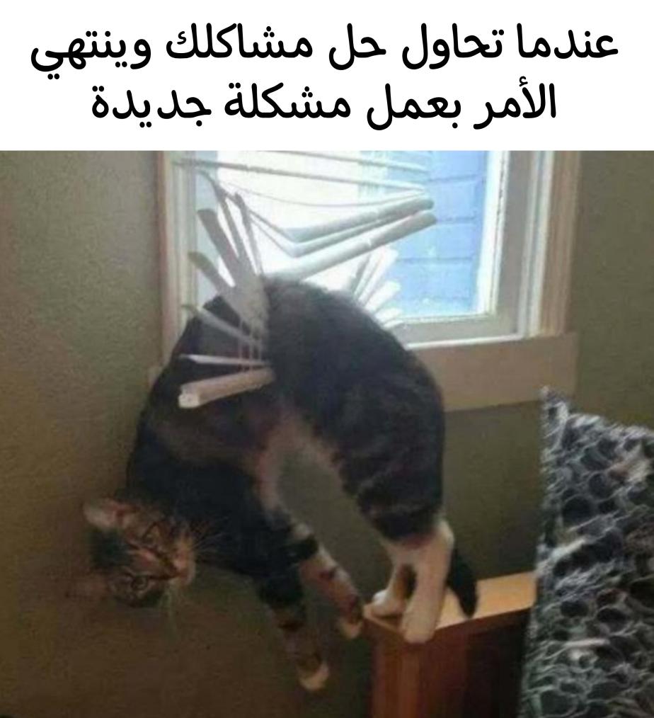 Name:  Picsart_22-12-10_06-14-36-741.jpg
Views: 77
Size:  77.7 KB