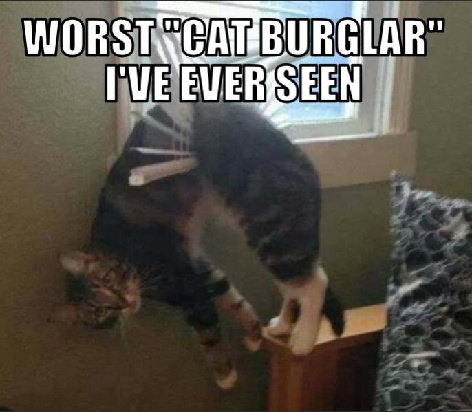 Name:  Output file.jpg
Views: 99
Size:  48.4 KB