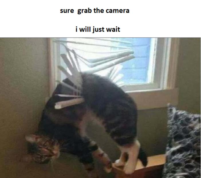 Name:  2022_12_11_09_07_46_Window.jpg
Views: 85
Size:  37.2 KB