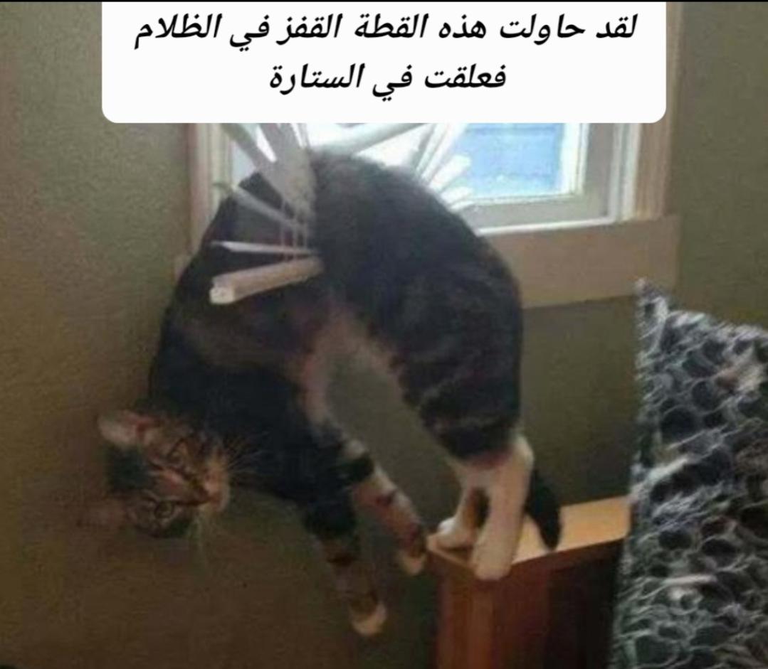 Name:  tempFileForShare_20221211-155033.jpg
Views: 59
Size:  71.2 KB