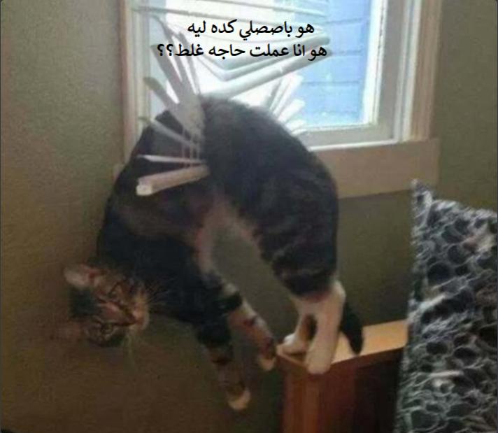 Name:  2022_12_11_20_38_03_Window.jpg
Views: 45
Size:  40.3 KB