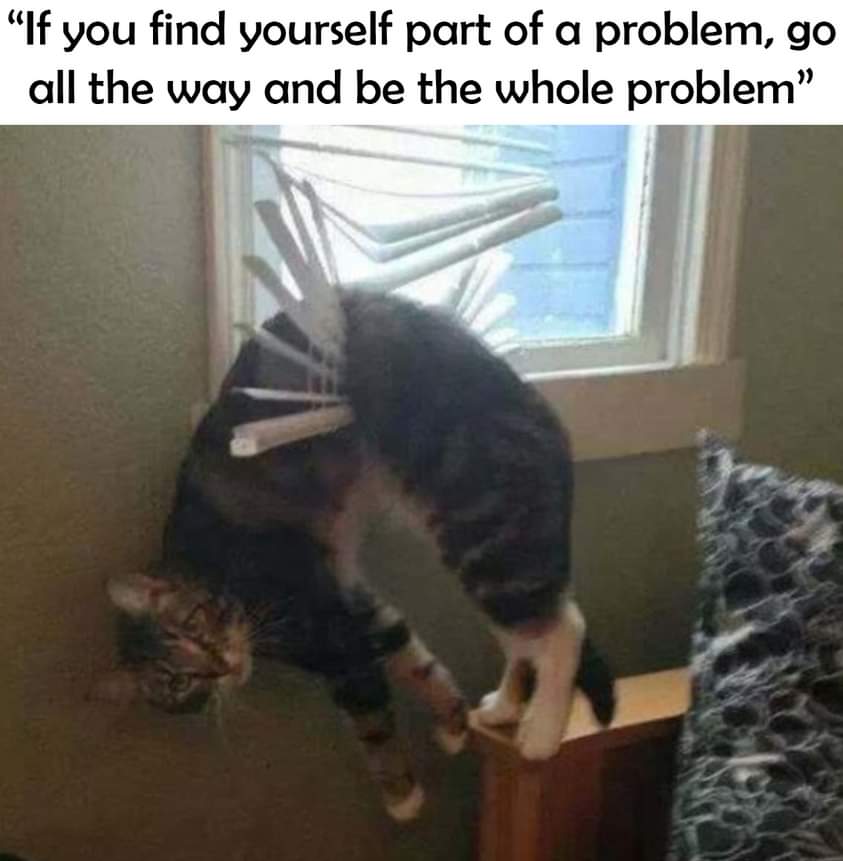 Name:  fa9e40af82490352147319d5d2e496f7.0.jpeg
Views: 41
Size:  49.5 KB