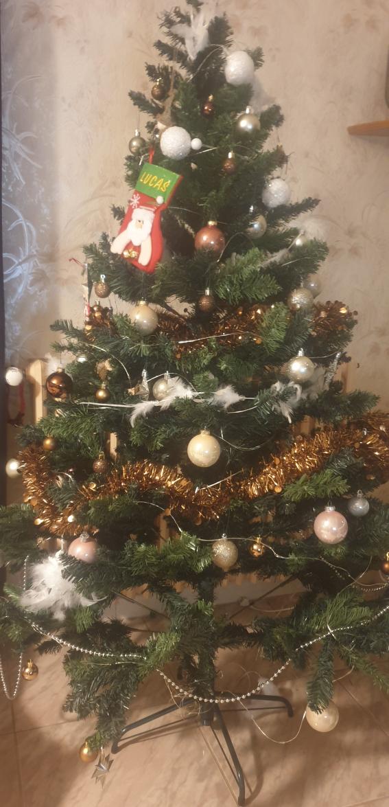 Name:  sapin.jpg
Views: 42
Size:  100.6 KB