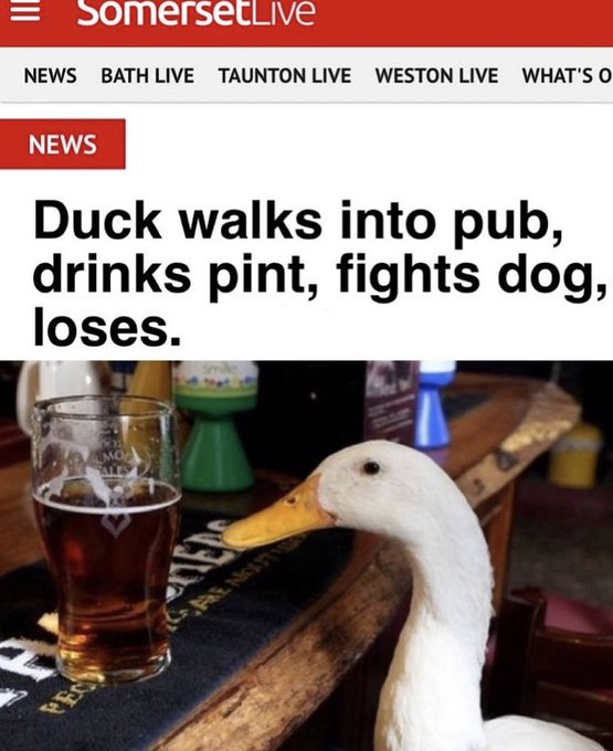 Name:  FjoG5MjX0AI6-Qb.jpg
Views: 31
Size:  62.2 KB