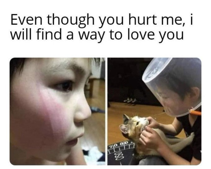 Name:  FjpCnz3aAAEog15.jpg
Views: 33
Size:  47.3 KB