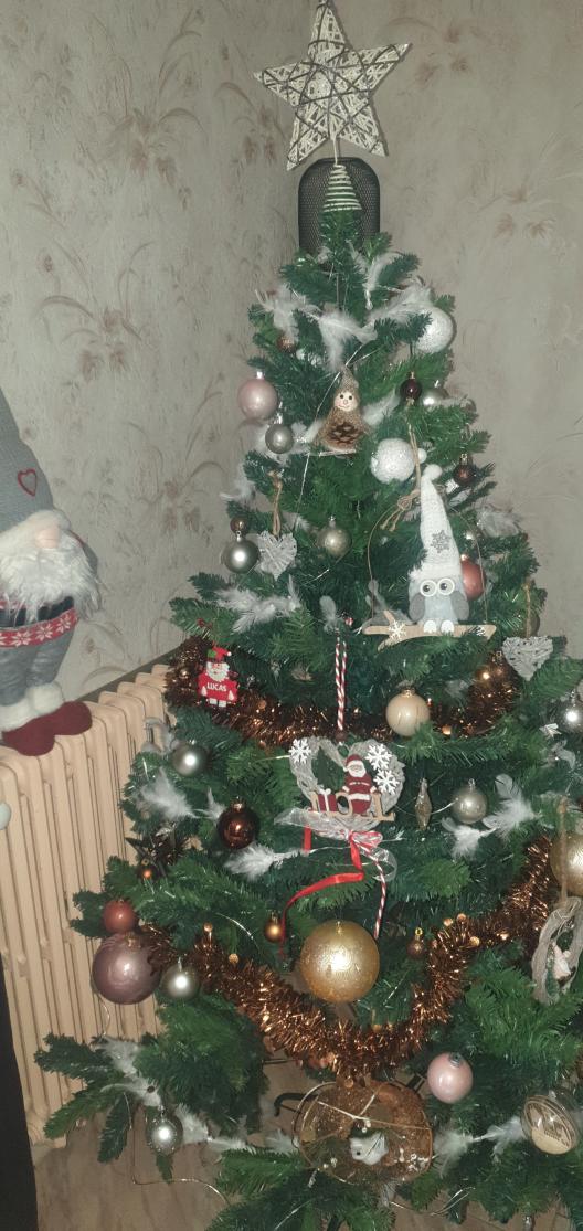 Name:  20221214_093335.jpg
Views: 33
Size:  100.4 KB