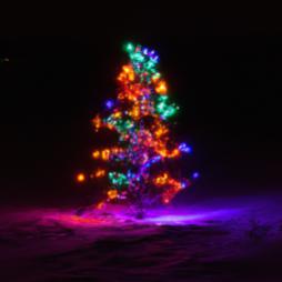 Name:  3Bien.jpg
Views: 77
Size:  6.6 KB