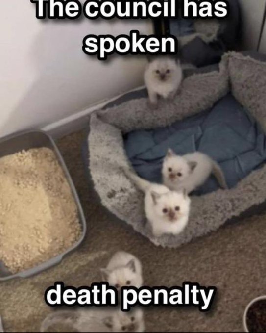 Name:  Fj-mqZtakAEUAqo.jpg
Views: 33
Size:  54.3 KB