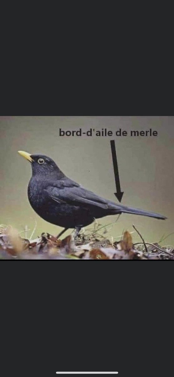 Name:  Fj7fK00XgAAfPsd.jpg
Views: 33
Size:  36.6 KB