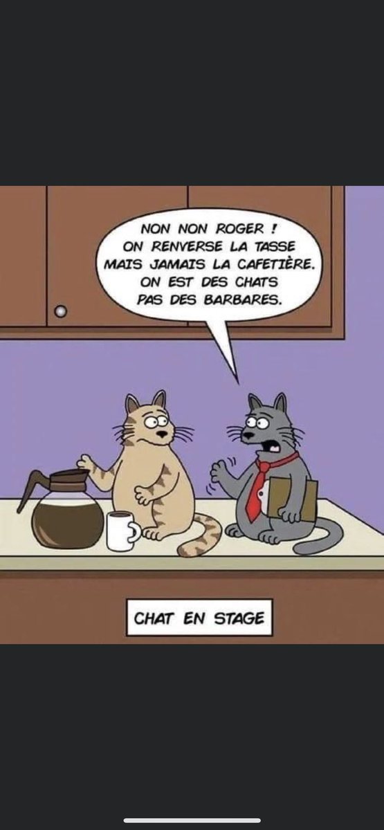 Name:  Fj7b4YjXoAATxg7.jpg
Views: 24
Size:  55.6 KB