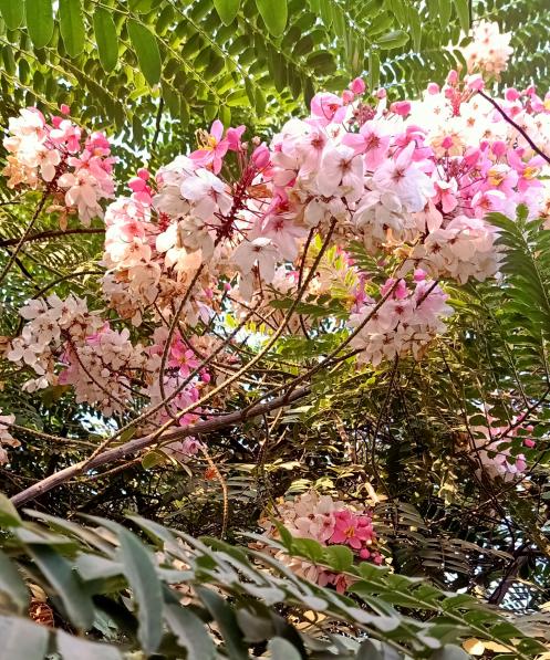 Name:  IMG_٢٠١٩١٠١٦_٢٠٤٢٢٤.jpg
Views: 429
Size:  104.5 KB