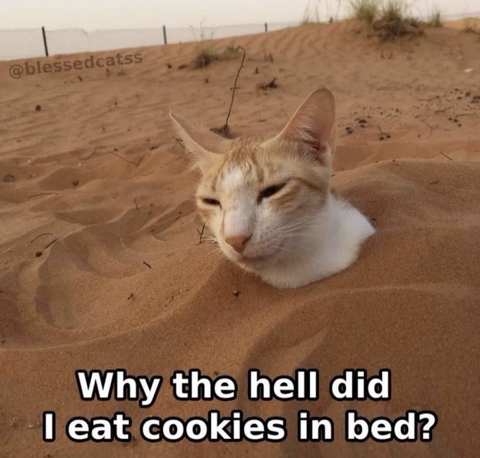 Name:  FkBw54zaYAUJBt4.jpg
Views: 21
Size:  72.2 KB