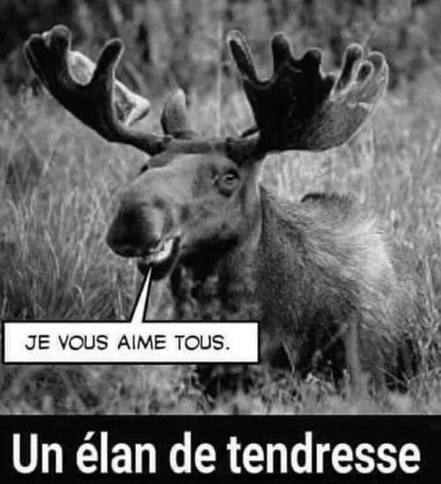 Name:  FkAgkyUWQAAINpi.jpg
Views: 20
Size:  67.6 KB