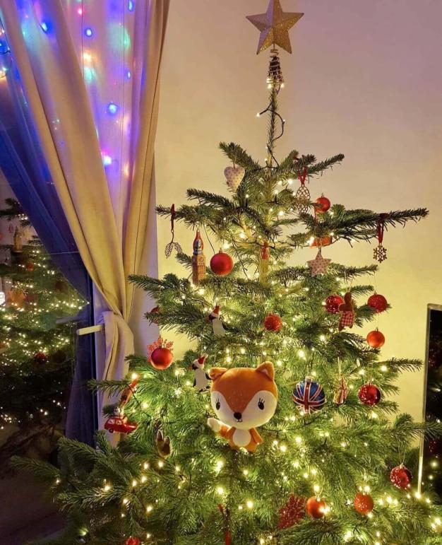 Name:  ArbolitoSensei.jpg
Views: 110
Size:  97.4 KB