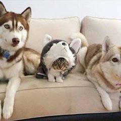 Name:  20221215_175424.jpg
Views: 35
Size:  11.7 KB