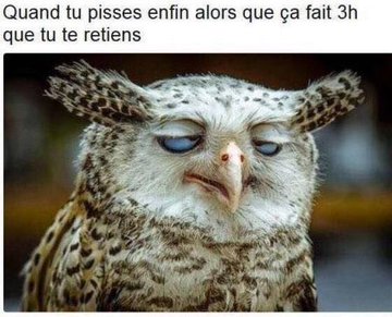 Name:  20221214_221634.jpg
Views: 35
Size:  29.1 KB