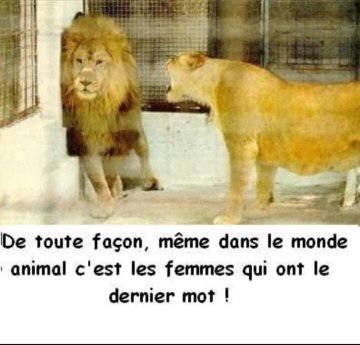 Name:  20221212_232133.jpg
Views: 35
Size:  25.6 KB