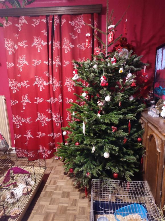 Name:  IMG_20221219_182813.jpg
Views: 27
Size:  100.0 KB