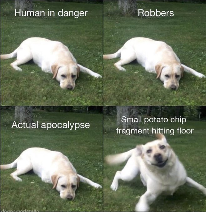 Name:  20221218_225259.jpg
Views: 50
Size:  82.2 KB