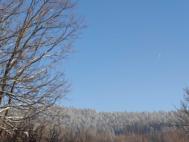 Name:  20221218_123453.jpg
Views: 103
Size:  97.5 KB