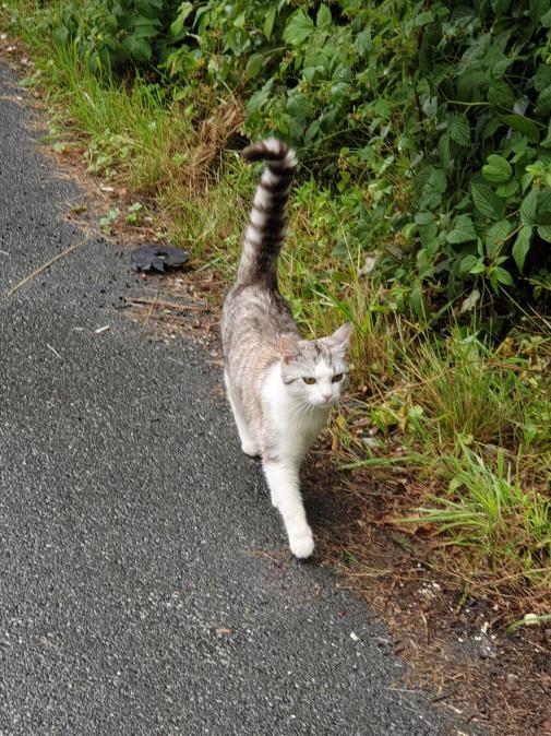 Name:  20220708_104832.jpg
Views: 78
Size:  101.3 KB