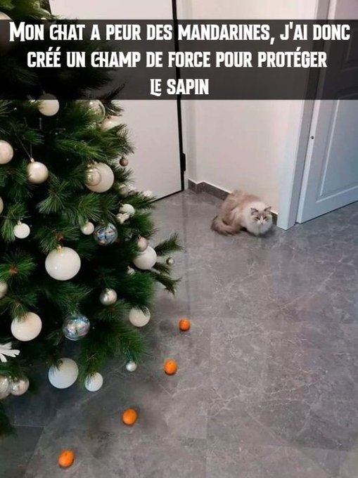 Name:  FkA2EIVWYAEE1vP.jpg
Views: 33
Size:  65.6 KB