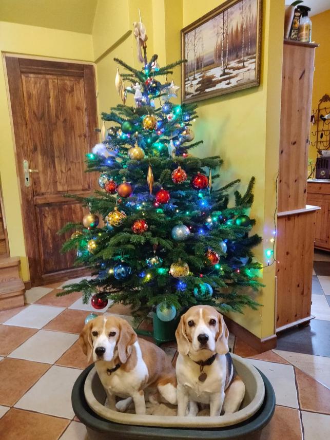 Name:  kopia.jpg
Views: 192
Size:  96.4 KB