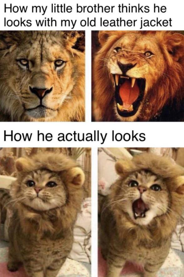 Name:  Fk2-l9yXoAMHUN8.jpg
Views: 21
Size:  78.5 KB