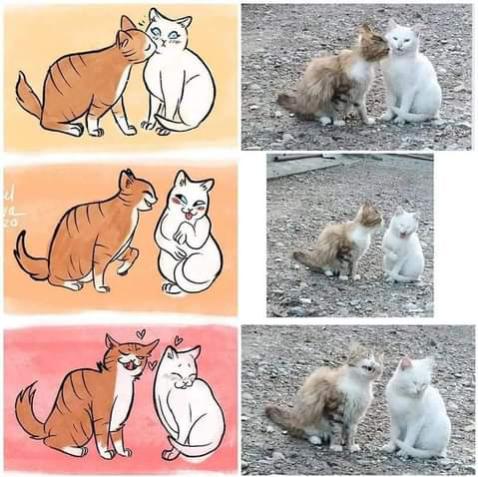 Name:  Screenshot_2022-11-14-08-17-50.jpg
Views: 99
Size:  46.9 KB