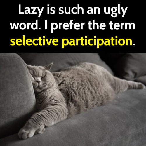 Name:  1-funny-lazy-meme.jpg
Views: 38
Size:  39.0 KB