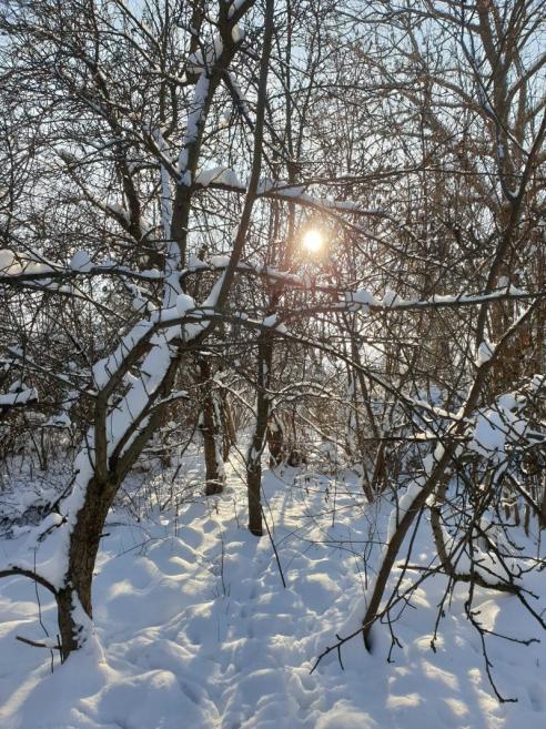 Name:  20221218_123210.jpg
Views: 64
Size:  103.4 KB