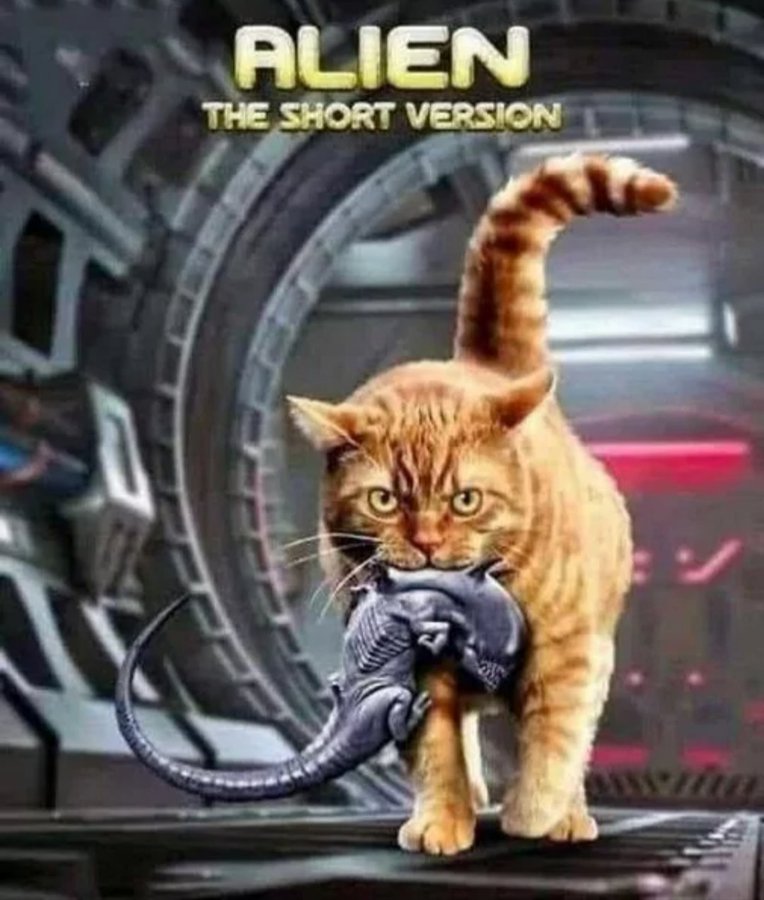 Name:  FmImvPSXgAEWeaZ.jpg
Views: 27
Size:  93.4 KB