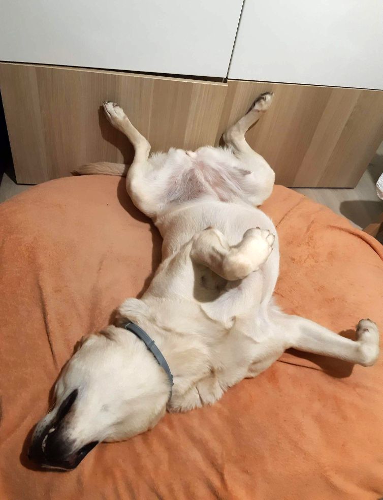 Name:  mela-003.jpg
Views: 56
Size:  77.5 KB