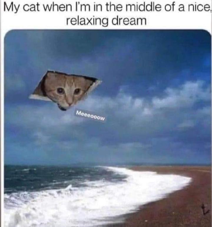 Name:  FmOLs9iX0BYLoO8.jpg
Views: 47
Size:  43.9 KB