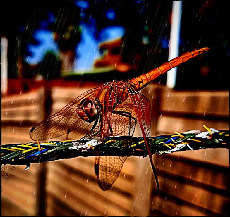 Name:  IMG_20220811_142041_42.jpg
Views: 78
Size:  90.5 KB