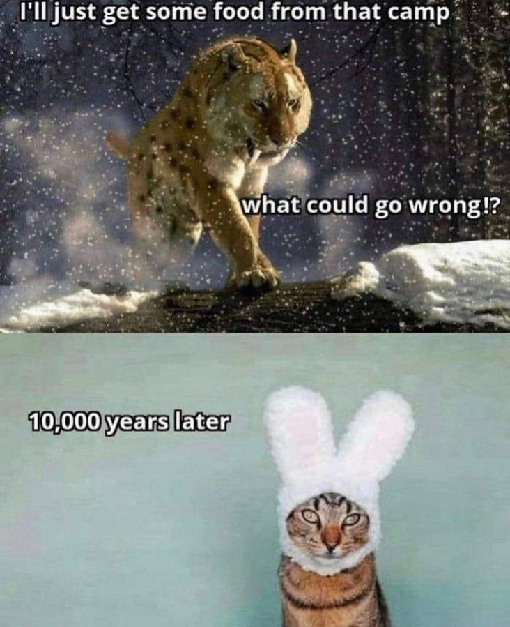 Name:  20230110_071337.jpg
Views: 47
Size:  85.1 KB