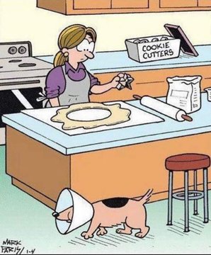 Name:  20230109_185648.jpg
Views: 43
Size:  31.4 KB