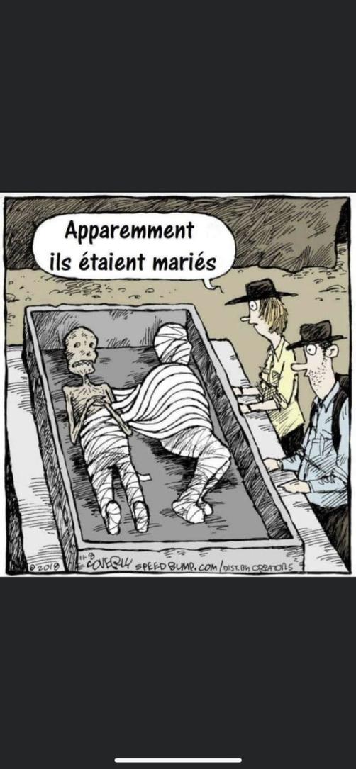 Name:  FmXgujlXkA00rOW.jpg
Views: 39
Size:  74.3 KB