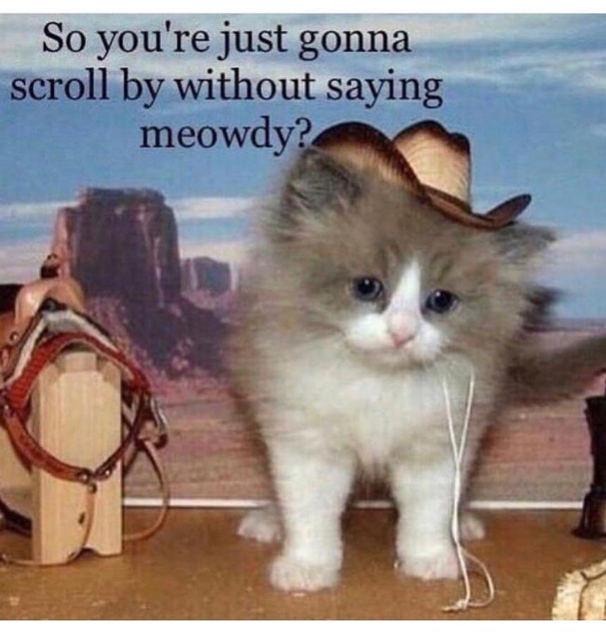 Name:  -----------------------------.jpg
Views: 34
Size:  78.2 KB