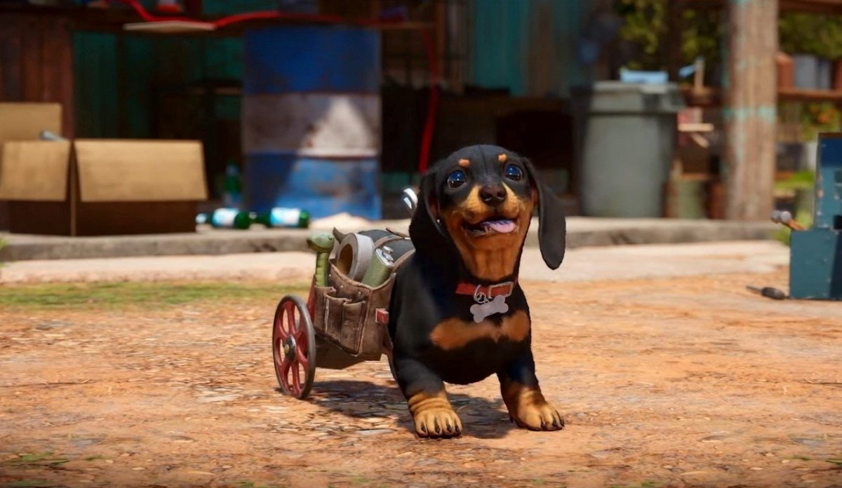 Name:  chorizo.jpeg
Views: 2871
Size:  121.1 KB