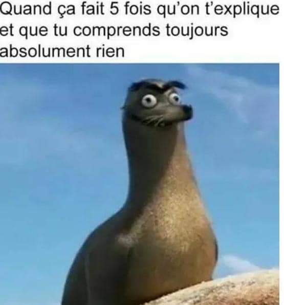 Name:  FmaWk2DXEAAO8j0.jpg
Views: 31
Size:  21.0 KB