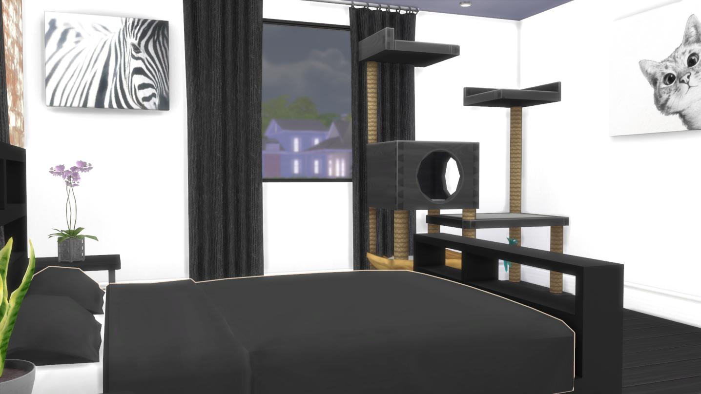 Name:  6.jpg
Views: 451
Size:  86.5 KB