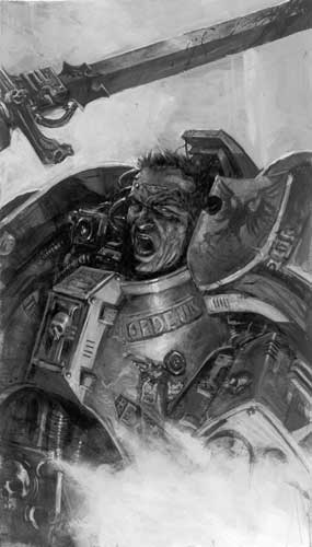 Name:  CaballeroGrisSuperior.jpg
Views: 268
Size:  19.4 KB