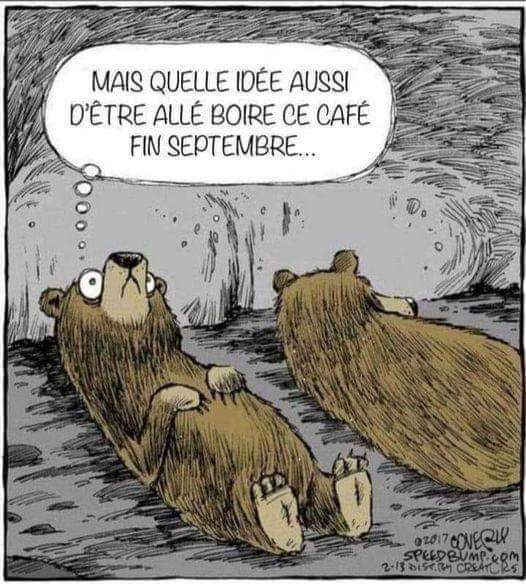 Name:  Fm5pIZDXwAIJIZP.jpg
Views: 33
Size:  59.8 KB