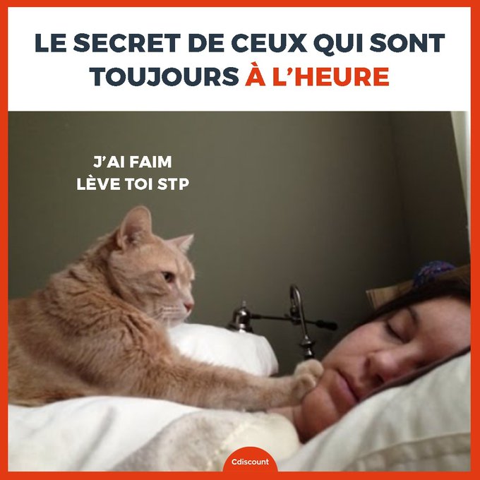 Name:  20230121_100056.jpg
Views: 59
Size:  56.4 KB