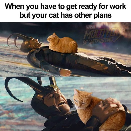 Name:  FnH2znlWYAQMl9H.jpg
Views: 47
Size:  50.4 KB