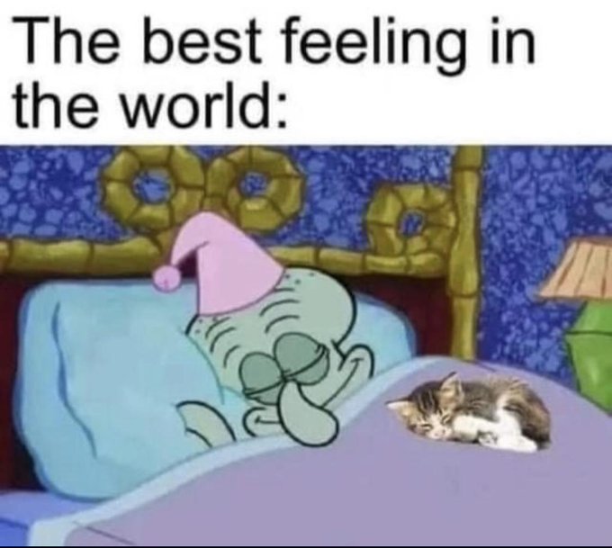 Name:  20230123_200359.jpg
Views: 61
Size:  52.2 KB